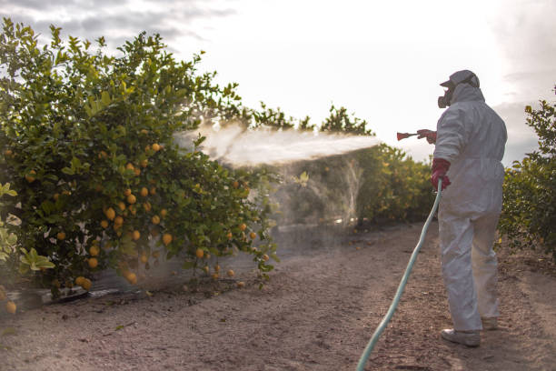 Trusted Kingman, AZ Pest Control Experts