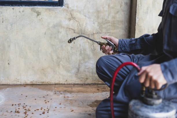 Best Pest Control for Businesses  in Kingman, AZ